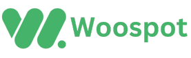 Woospot final logo chennai
